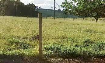 Imagem 2: 2,5 Alqueires as margens da GO-070 próximo a Itauçu/Go