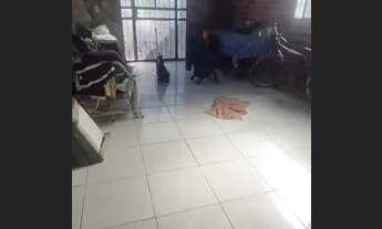 Imagem 7: Casa á venda Casa com 2 dormitórios