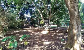 Imagem 7: Chacara de 02 Hectares em Inhumas GO