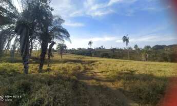 Imagem 6: Fazenda 53 alq. em trindade Go. 7 km este.chão R$: 23.850.000