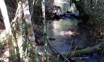 Imagem 5: Chácara 20 hectares, 4 açudes grande, arroio, Rio, potreiro cercado