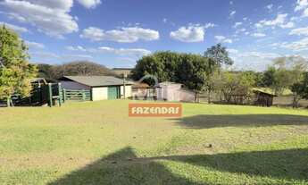 Imagem 3: Sitio 10 alqueires (48,4 hectares) Piracanjuba - Go