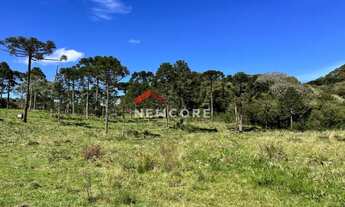 Imagem 5: Chácara em Estrada Josafaz - Contendas - São Francisco de Paula/RS