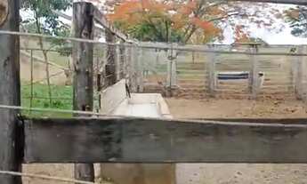 Imagem 2: Fazenda 17 alqueires em Orizona-Go