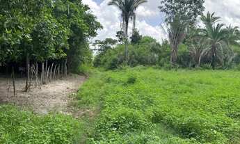 Imagem 7: 3 terrenos juntos , totalizando 36x30 Apenas 45 mil