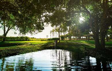 Imagem 3: Lote 600m² Condomínio Horizontal!