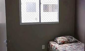 Imagem 4: Repasse na região do Passaré - Vida Botânica