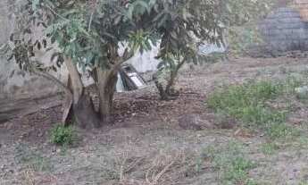 Imagem 4: Terreno no Cirurgia