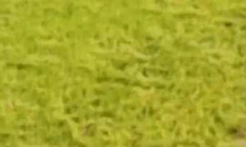 Imagem 2: Lotes promocionais para casa de campo SP