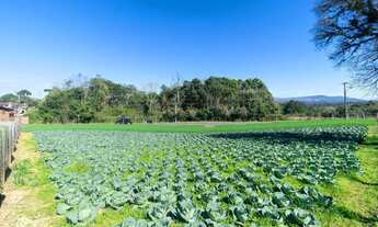 Imagem 7: Terreno com 1315 m² na Vila Santa Terezinha