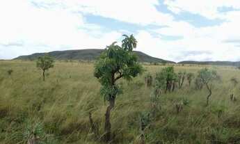 Imagem 7: 40.000 m² CHÁCARAS NA CHAPADA DOS VEADEIROS