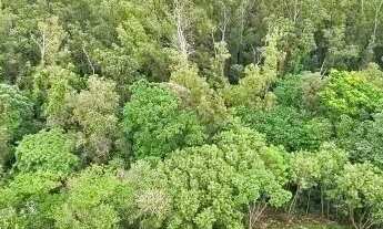 Imagem 6: APARTAMENTO - LOTEAMENTO PARQUE SÃO MARTINHO - SP