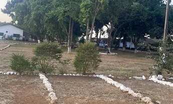 Imagem 5: Fazenda 5.700 alq em deciolandia x Diamantino MT. 3.680 plantando