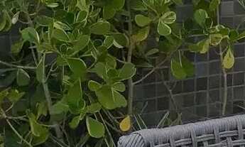 Imagem 5: VENDO , 03 quartos (01 suíte), Varanda, lazer. 2 vagas .( GB