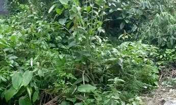 Imagem 6: Lote em condomínio Praia dos Passarinhos bairro - Ponta Negra - 719m2