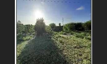 Imagem: Oportunidade Única em ACU - RN Tipo