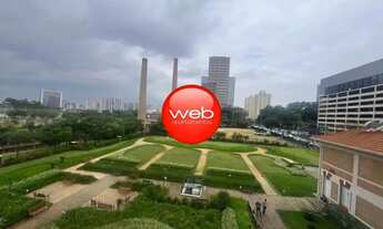 Imagem 4: EXCELENTE SALA COMERCIAL - PERDIZES !!