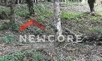 Imagem 2: Lote em condomínio em Avenida Villagio - 2Mato Queimado - Gramado/RS