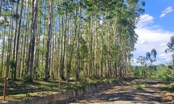Imagem 3: Terreno próximo ao centro de Juquitiba