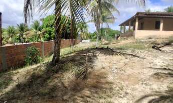 Imagem 3: Vende-se Sitio em Conde Bahia