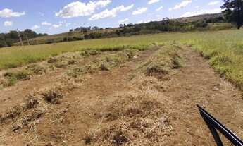 Imagem 2: Ágio de lote ( oportunidade