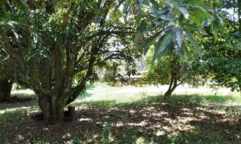 Imagem 16: Chácara com 6 dormitórios, 6000 m² - venda por R$ 3.000.000,00 ou aluguel por R$ 5.461,73