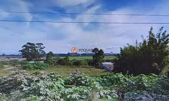 Imagem 2: Ampla área no entorno do Distrito industrial