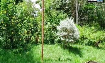 Imagem 7: Chácara em Anicuns, 4 Alqueires de Pura Beleza, Rica em Água, Pomar, Cozinha Caipira, top