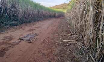 Imagem: 210 Alqueires com 150 em canavial em Mineiros