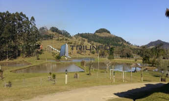 Imagem 4: Sítio com mais de 40 hectares de terra e uma casa de 500m²!!!