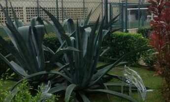 Imagem 6: Apartamento para Venda em Osasco, Presidente Altino, 2 dormitórios, 1 banheiro, 1 vaga