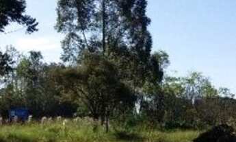 Imagem: Área de Terra Frente Asfalto Água Amarela