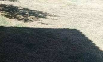 Imagem 7: CHACARÁ A VENDA EM JALES 3000M2