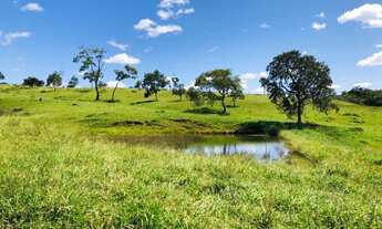 Imagem 5: 10 alqueires com muita agua