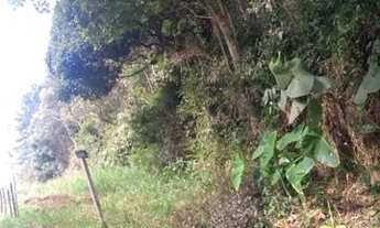 Imagem 4: Terreno de 4.000m² Vila Moraes