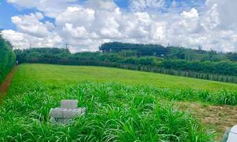 Imagem 4: Terreno pano com 2.850 m² à venda no Jardim das Palmeiras