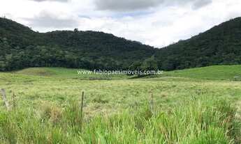 Imagem 15: Fabio Paes Imóveis - Fazenda de 33 alq (159.72 ha) com GEO - 70% plana