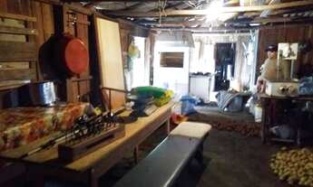 Imagem 6: Chacrinha 10.000,00m², casa mista 140.00m², mais de 100 pés de frutíferas