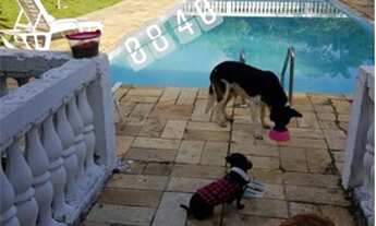 Imagem 2: Chácara Saramandaia - Jarinu SP / Maracanã - 9.2 mil m2