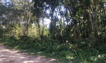 Imagem 2: Terreno à venda, 384 m² por R$ 65.000 - Praia do Imperador - Itapoá/SC