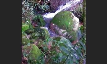 Imagem 4: Terreno em bueno Brandão MG, com linda cachoeira e riacho dentro da propiedade