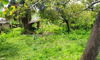 Imagem 6: Fazenda/Sítio/Chácara para venda tem 4800 metros quadrados, quase 1/2 hectare