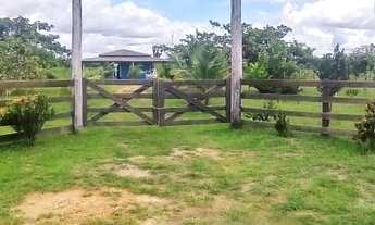 Imagem 4: Chácara a venda sentindo Humaitá