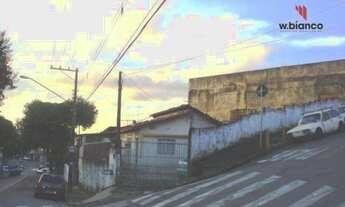 Imagem 3: Terreno à venda, 390 m² por R$ 615.000,00 - Vila Baeta Neves - São Bernardo do Campo/SP