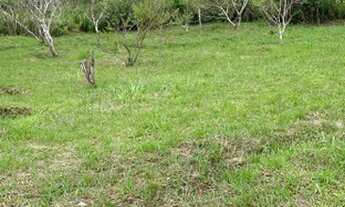 Imagem 3: Terreno à venda, 360 m² por R$ 70.000,00 - Balneário Terra Nova - Cananéia/SP