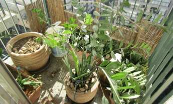 Imagem 7: SÃO PAULO - Apartamento Padrão - PINHEIROS