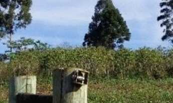 Imagem 5: Área de Terra Frente Asfalto Água Amarela