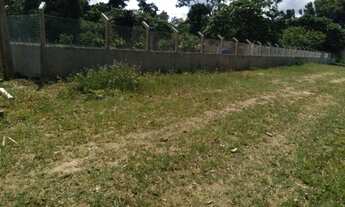 Imagem 5: Terreno para chácara, km 33, 1800m2, AM 070