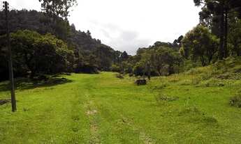 Imagem 2: Fazenda/Sítio/Chácara para venda tem 100 metros quadrados com 2 quartos em Centro - Três R