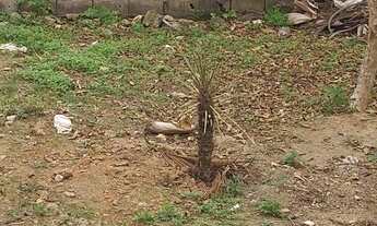 Imagem 6: Casa no Jd Pitoresco, 2 dorm.1 suíte, 2 vg cobertas 5 minutos do centro